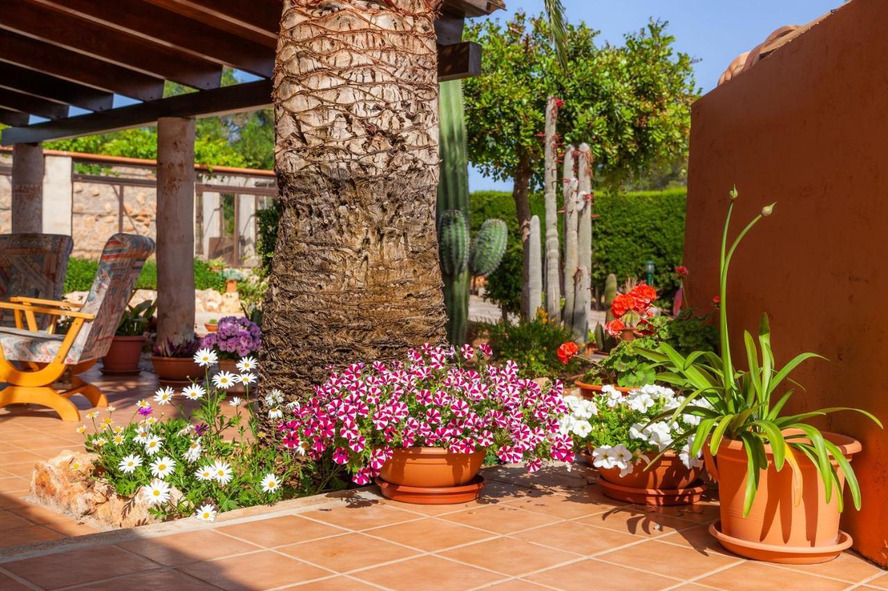 Ses Salines Cottage With Private Pool And Barbecue エクステリア 写真