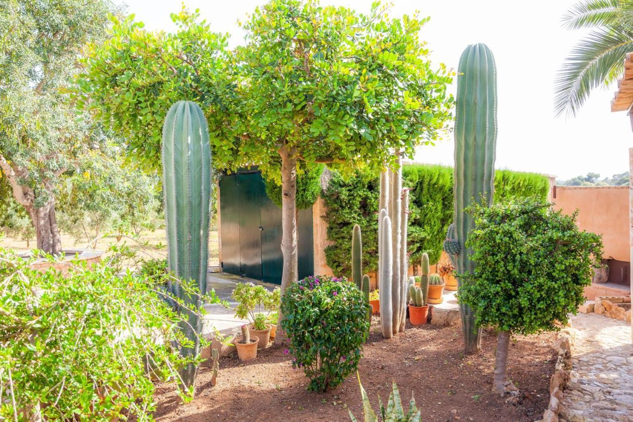 Ses Salines Cottage With Private Pool And Barbecue エクステリア 写真