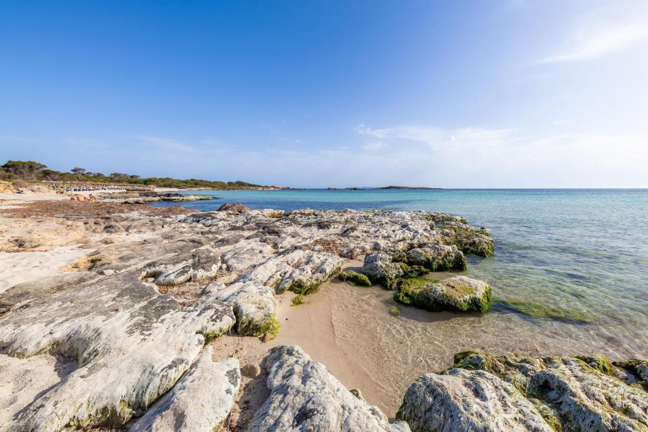 Ses Salines Cottage With Private Pool And Barbecue エクステリア 写真