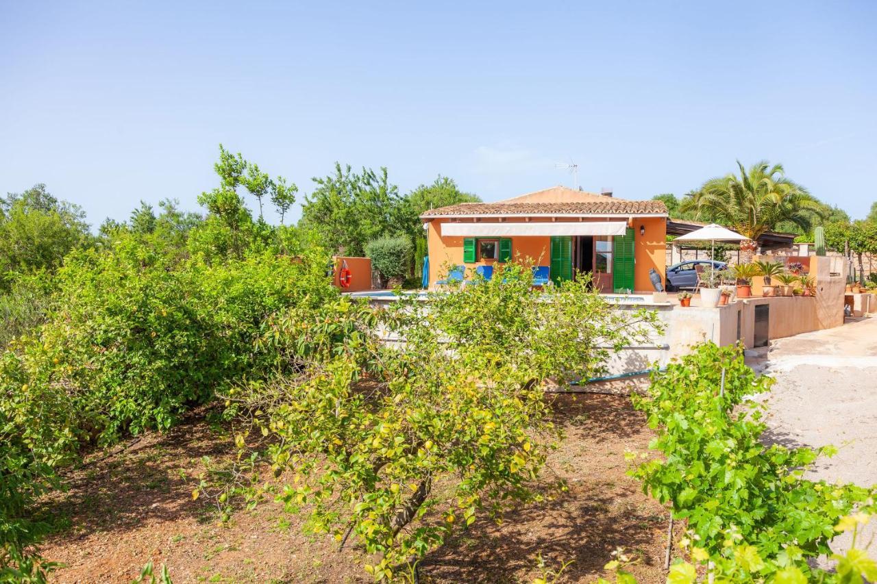 Ses Salines Cottage With Private Pool And Barbecue エクステリア 写真